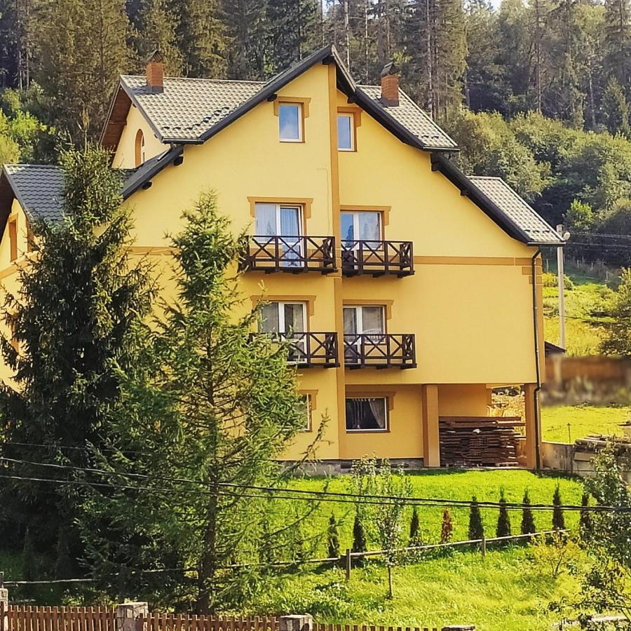 Гірська Палітра Slavske Buitenkant foto